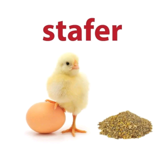 Stafer