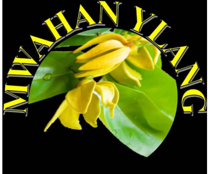 Société de production et transformation des fleurs d'ylang-ylang